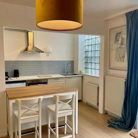 The Doors Park House Apartment Ghent