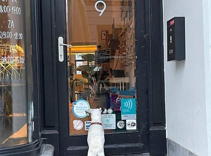 The Doors Park House Gent